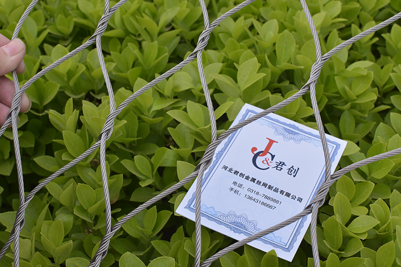 不銹鋼繩網(不銹鋼套繩網)